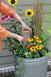 woman placing wood block with holes in it amongst flowers planted in metal trash can